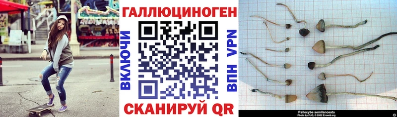 Галлюциногенные грибы GOLDEN TEACHER  Чаплыгин 